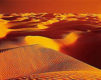 《饥荒：联机版》新更新上线：“月亮码头的诅咒”